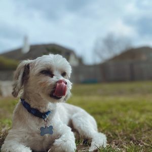 Meet your Posher, Jayla